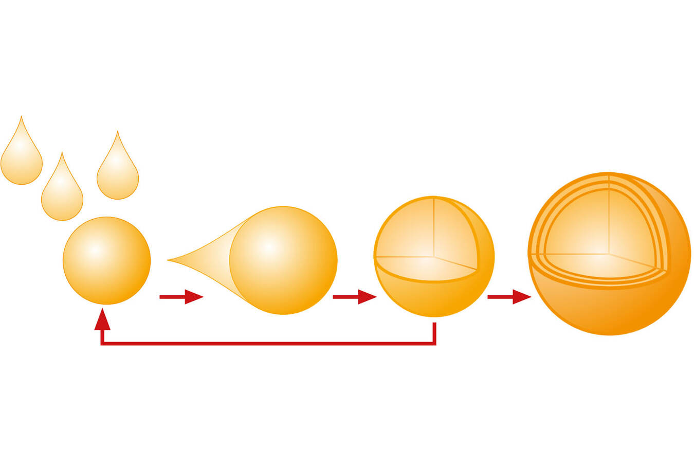 Fig.1: Structure principle of spray granulated particles with onion structure. Caption: Glatt